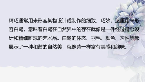 《1 白鹭》课件