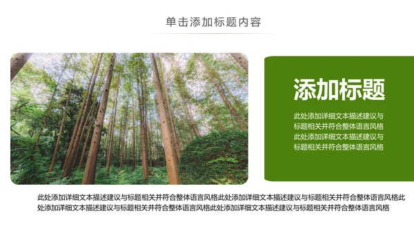 原始森林湿地植树造林森林环保PPT模板