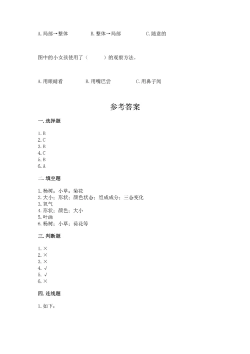 教科版科学一年级上册第一单元《植物》测试卷及参考答案【综合题】.docx