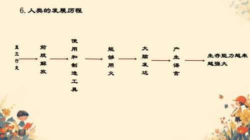 4.1.1人的起源和发展课件(共17张PPT)人教版七年级下册