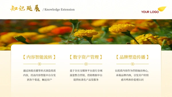 黄色古代文学诗词赏析PPT模板