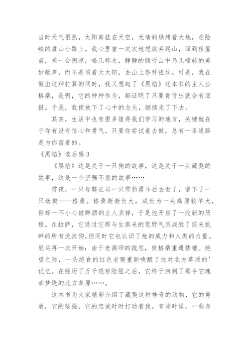 《黑焰》读后感.docx