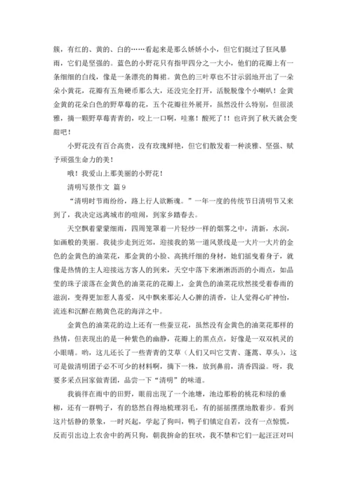 有关清明写景作文锦集十篇.docx