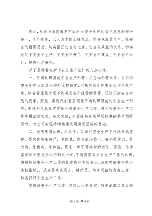 学习新安全法心得体会 (6).docx