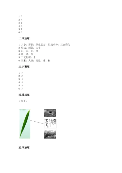 教科版科学一年级上册第一单元《植物》测试卷及答案（考点梳理）.docx