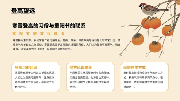 橙色中国风寒露节气PPT模板