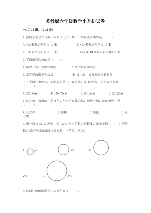 苏教版六年级数学小升初试卷精品（典优）.docx