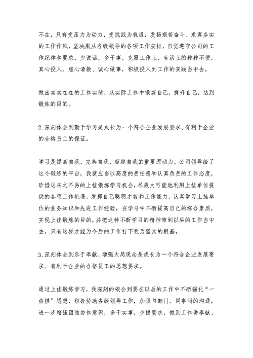 财务处挂职锻炼工作总结