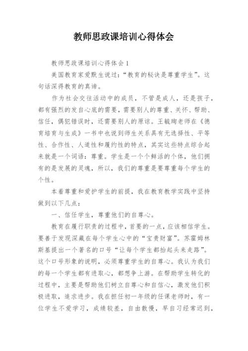 教师思政课培训心得体会.docx