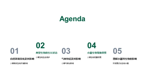 小暑生态解读