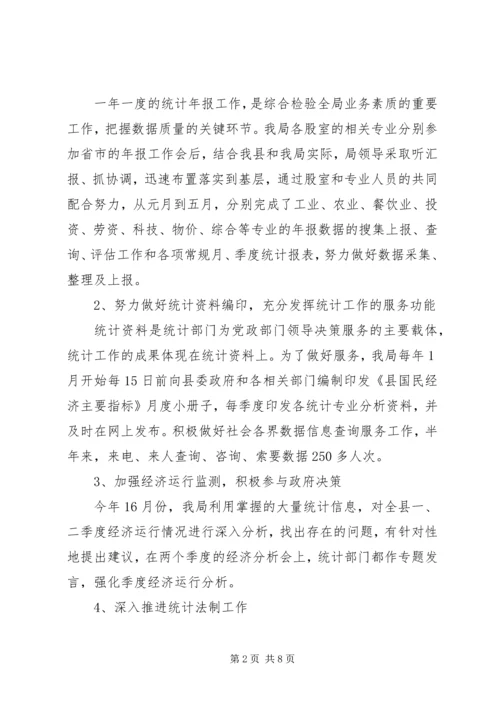 统计局上半年工作总结和下半年工作计划 (2).docx