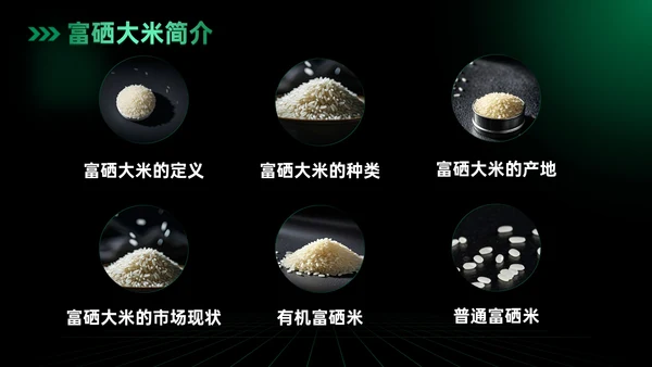 绿色科技风科技富硒大米新品发布会