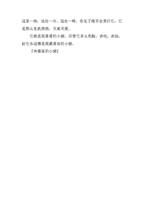 外婆家的小猪作文500字