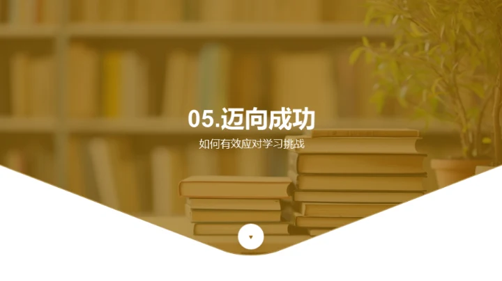 三年级学习秘籍