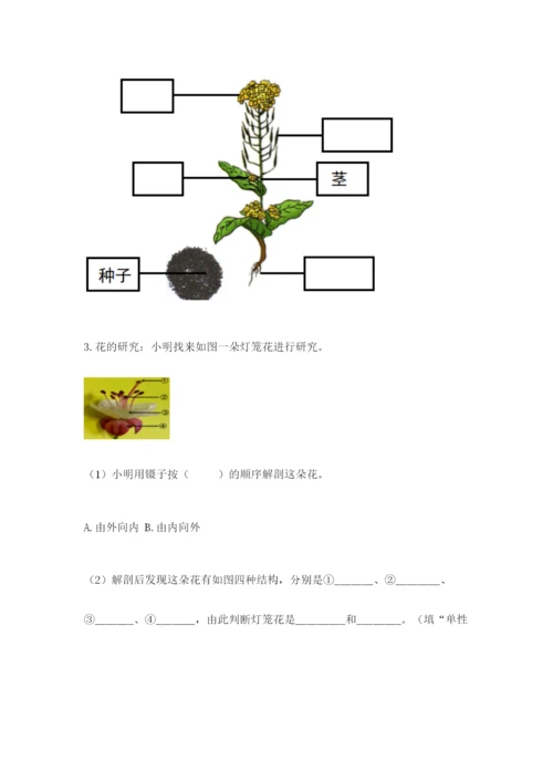 科学四年级下册第一单元《植物的生长变化》测试卷附参考答案【满分必刷】.docx