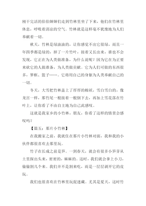 小竹林作文0.docx