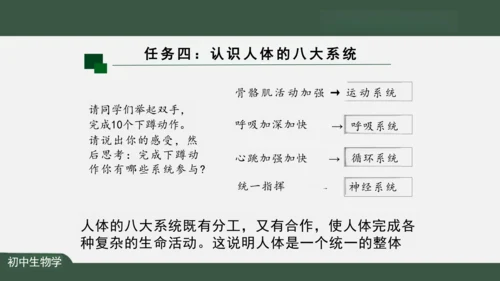 2.2.2 动物体的结构层次 课件（共24张PPT）
