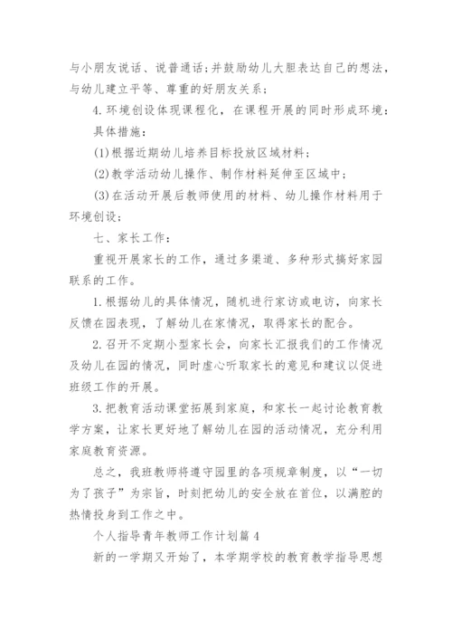 个人指导青年教师工作计划5篇.docx