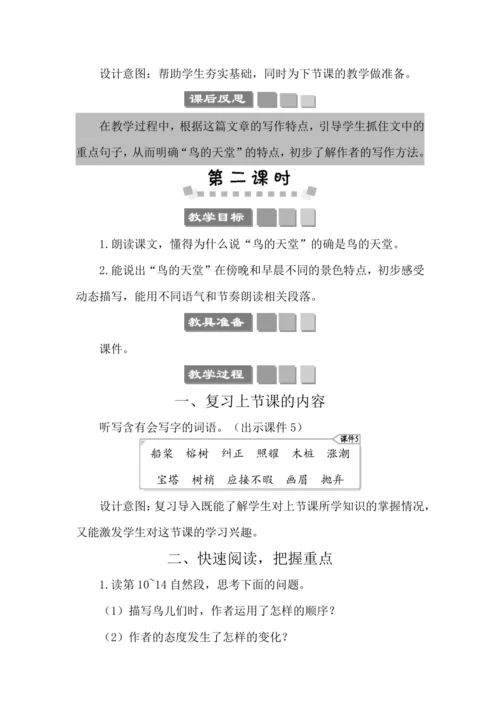 23 鸟的天堂 教案