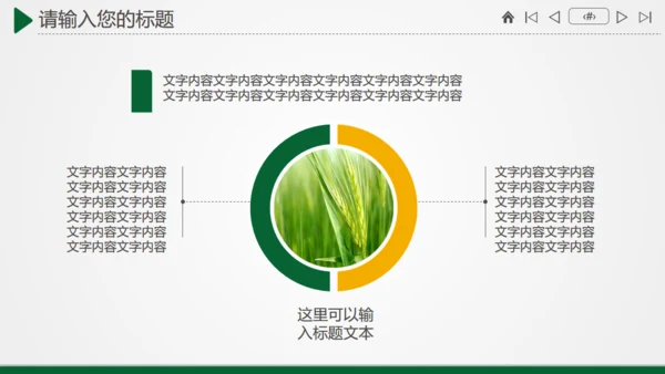 农业农村粮食大丰收金色麦田通用PPT模板