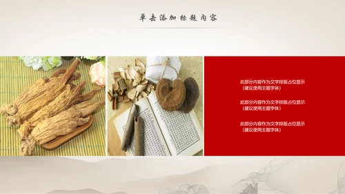 传统中医学中医院中医文化中草药PPT模板