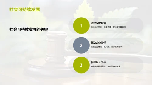 环保法律：挑战与机遇