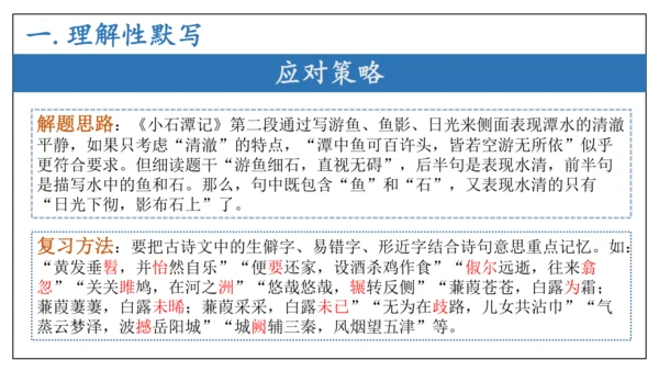 专题06文言文阅读（期末备考）-八年级语文下学期期末备考（统编版）课件