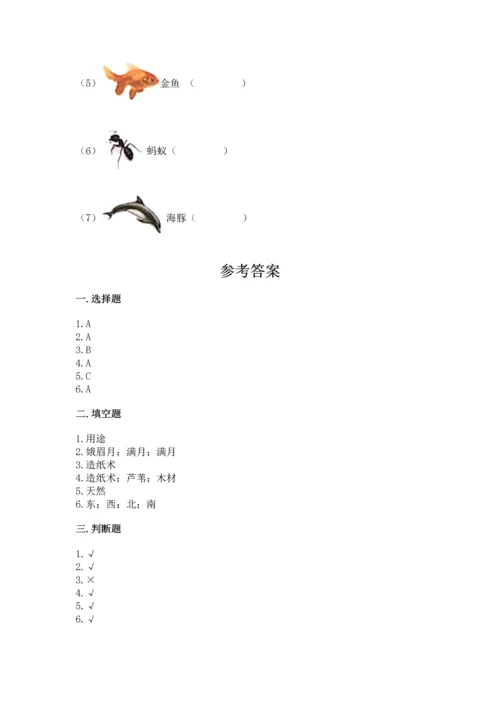 教科版科学二年级上册《期末测试卷》（名师推荐）.docx