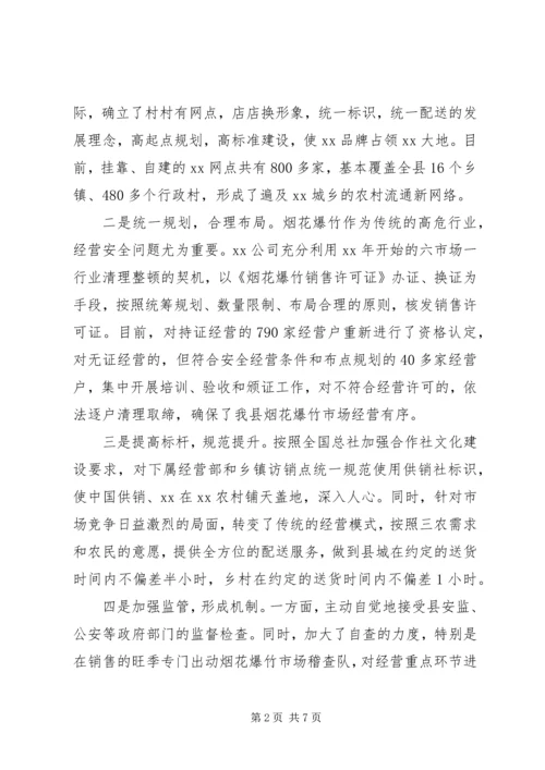 县烟花鞭炮企业发展情况的调研报告.docx