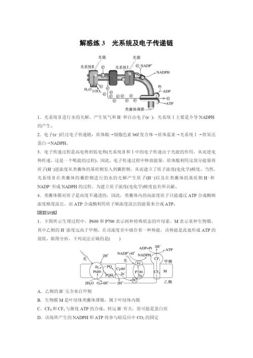 2023届高考生物一轮复习讲义（新人教新高考） 第3单元 解惑练3　光系统及电子传递链.docx