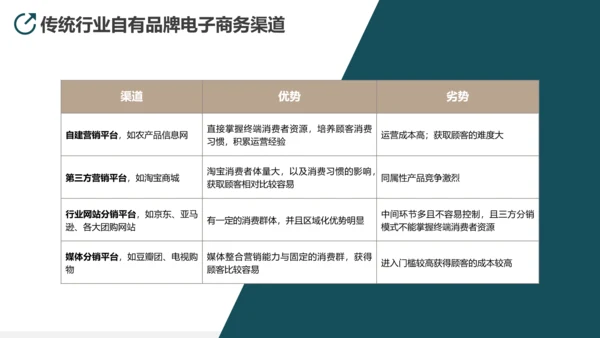 互联网平台直播电商运营方案PPT模板