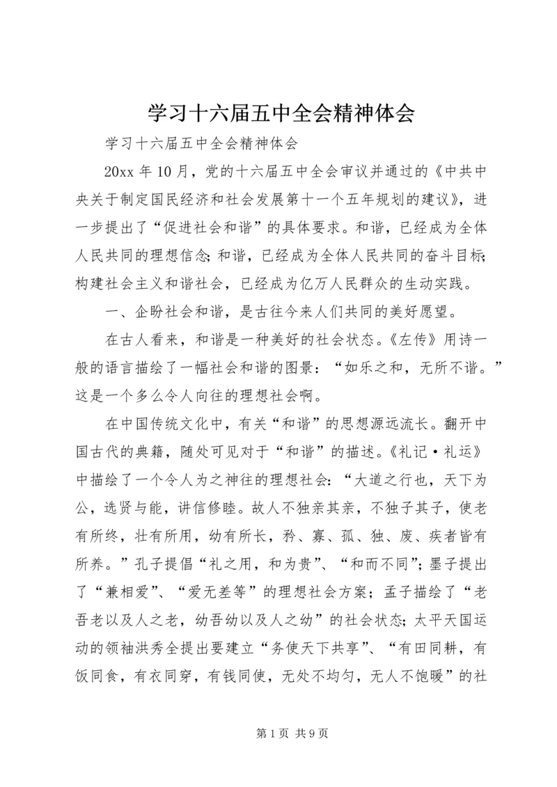 学习十六届五中全会精神体会 (2).docx