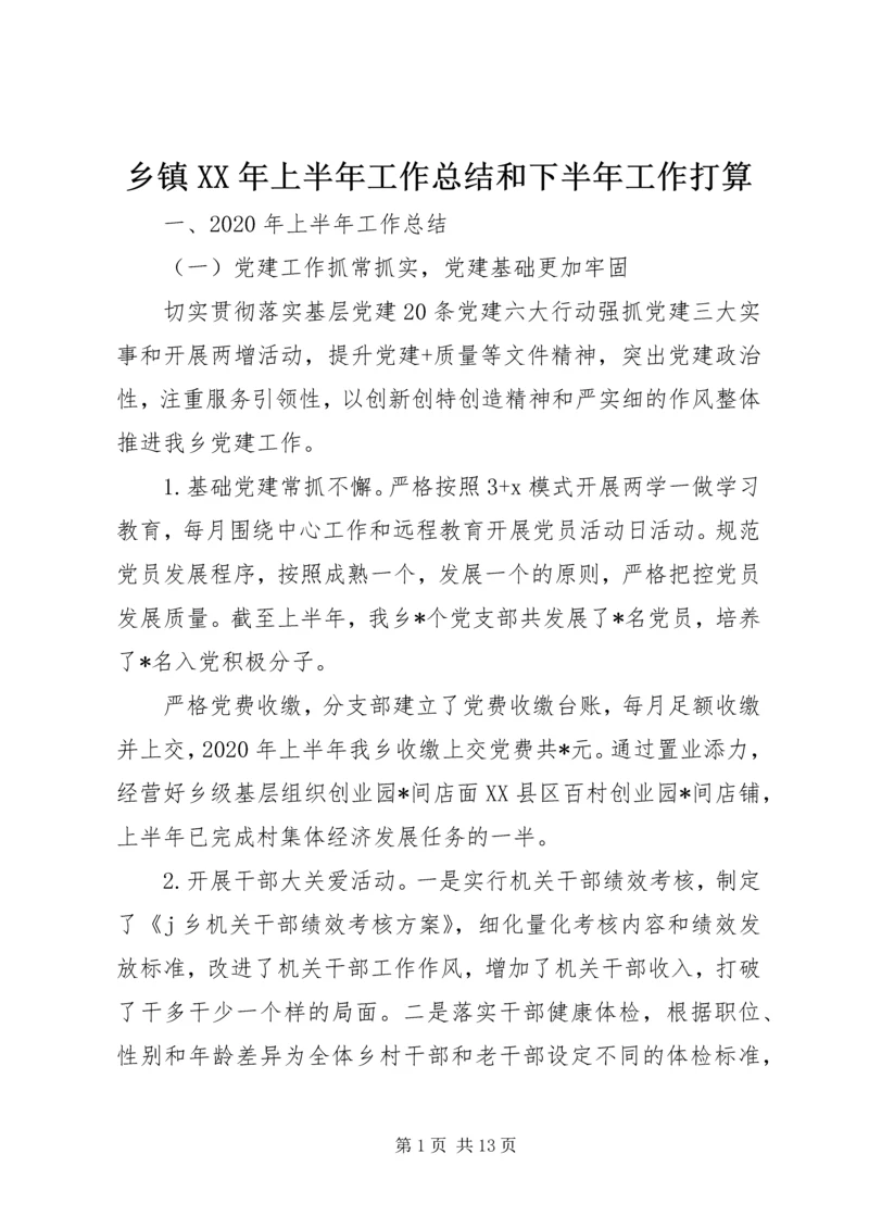 乡镇某年上半年工作总结和下半年工作打算.docx