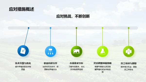 种植之道，成果之光