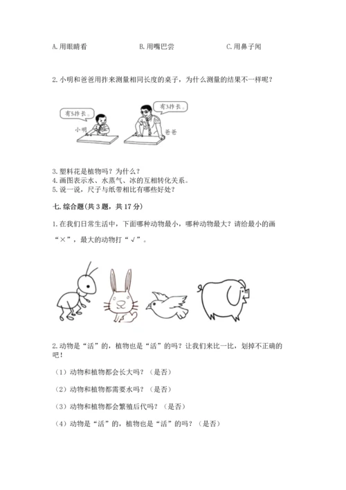 教科版科学一年级上册期末测试卷含答案（夺分金卷）.docx