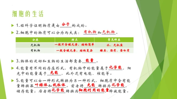人教版生物七年级上册期中复习课件(共19张PPT)