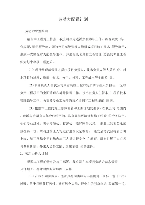 劳动力配置计划.docx