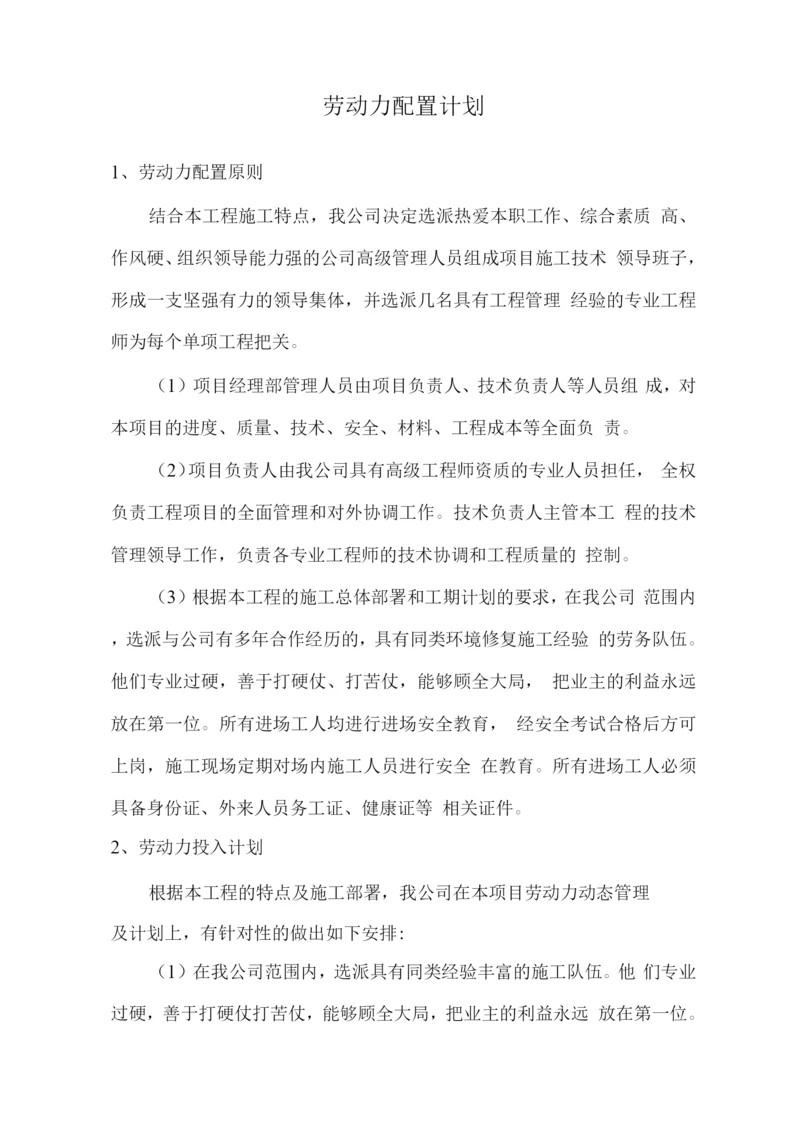 劳动力配置计划.docx