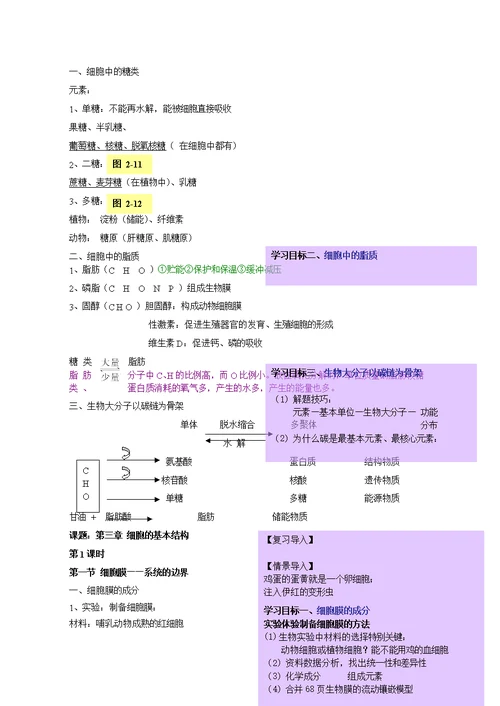 高中生物必修一教案板书讲稿