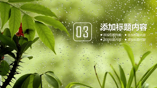 绿叶夏日雨季通用PPT模板