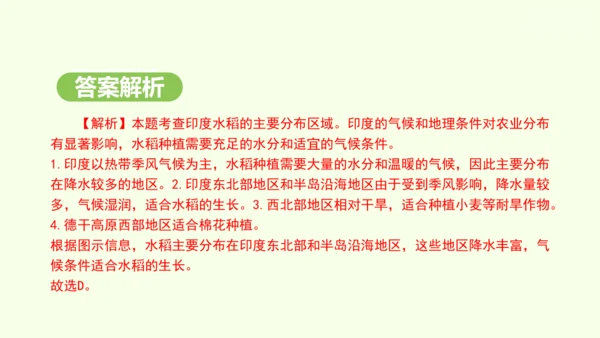 8.3 印度（课件35张）-2024-2025学年七年级地理下学期人教版(2024)