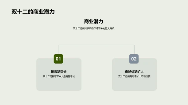 农产品双十二全面战略