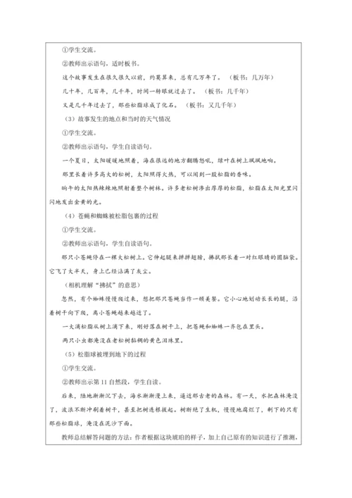 5 琥珀第2课时 教案