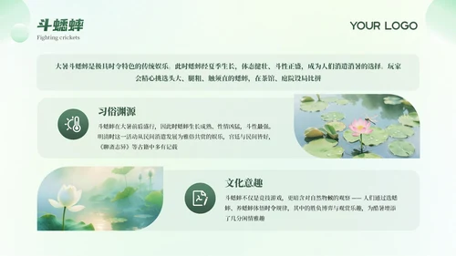 绿色清新弥散大暑节气科普教育PPT模板
