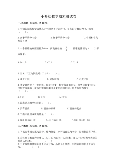 小升初数学期末测试卷精品（各地真题）.docx