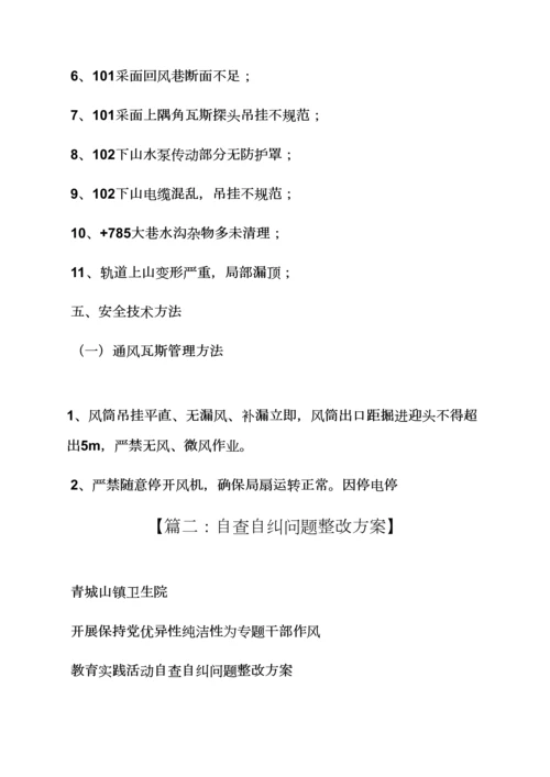 活动专项方案之自检自查整改专项方案.docx