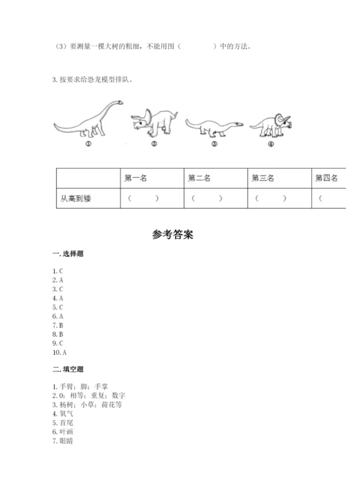 教科版一年级上册科学期末测试卷（典型题）word版.docx