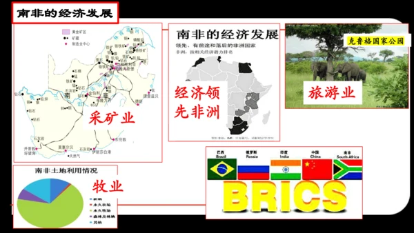 人文地理上册  如何认识区域——以南非为例 课件（14张PPT）