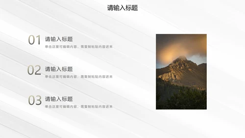 白金奢华简约商务运营方案PPT模板