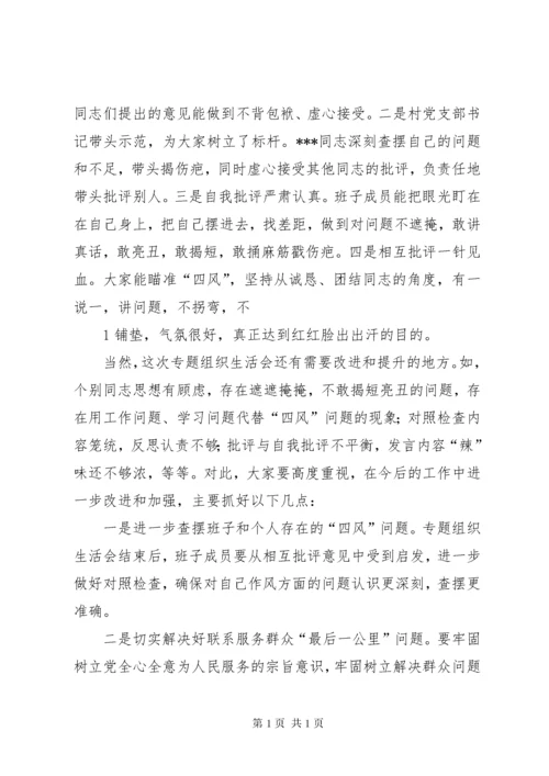 卫生局督导组在区直医院班子民主生活会上的点评 (3).docx